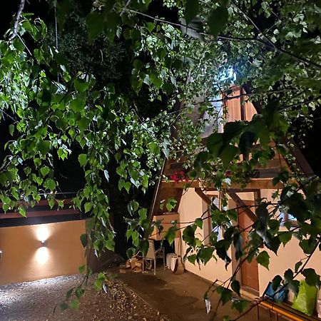 Vikendica Stojanovic Villa Mionica Exterior photo